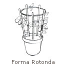 forma_allevamento_rotonda.jpg