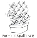 forma_allevamento_spalliera_b.jpg