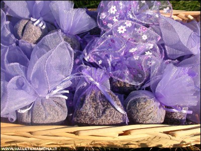 lavanda-sacchettini.JPG