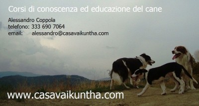 educazione_del_cane.JPG