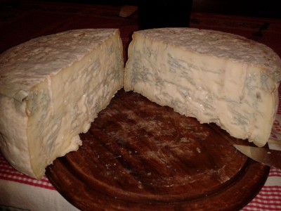 gorgonzola nuovo.jpg