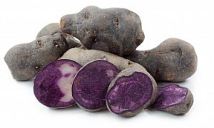 patate-Vitelotte.jpg