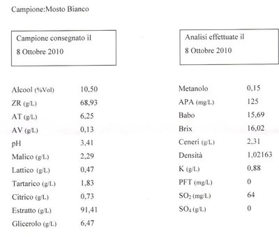 Mosto Bianco.JPG