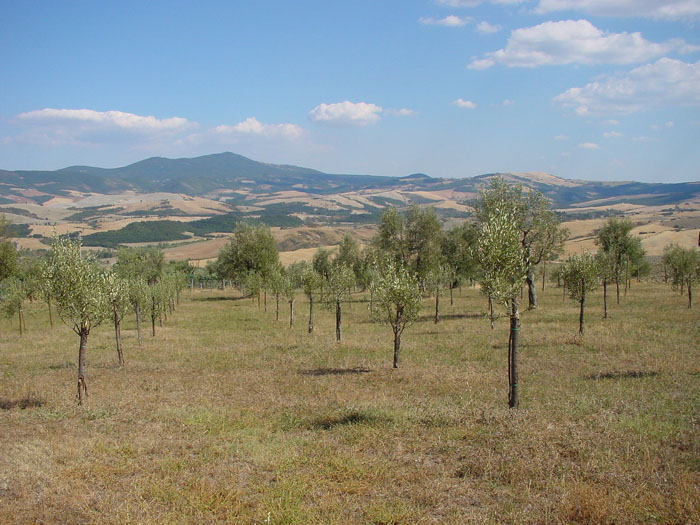 Valdorcia-2008-2.JPG