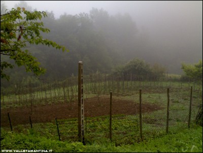 07062016pioggia-nebbia.jpg