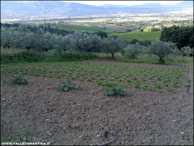 15062016borlotti-zucca-moscata.jpg