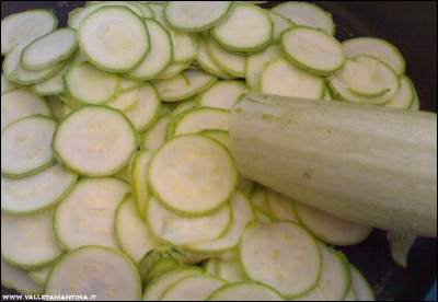 23062016zucchine.jpg