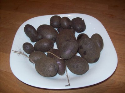 patate viola.jpg