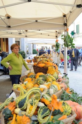 Festa della Zucca Foiano della Chiana (Ar) (3).JPG