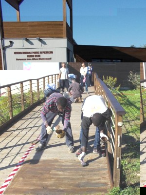 Manutenzione Centro Visite Castelmartini 01.JPG