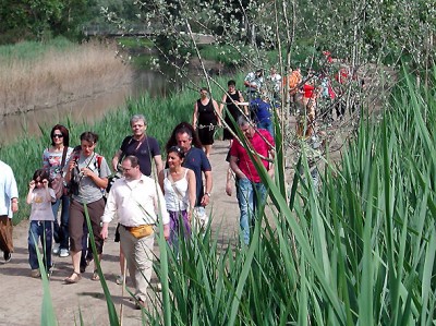 Visita guidata nel Padule di Fucecchio (foto Enrico Zarri).JPG