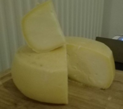 fontina.JPG