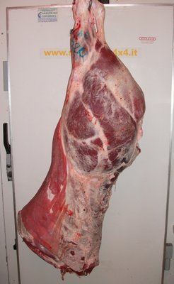 carne 003.jpg