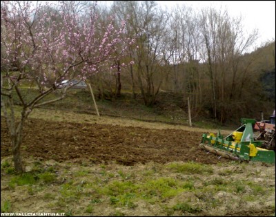 18032017lavoraz-orto.jpg