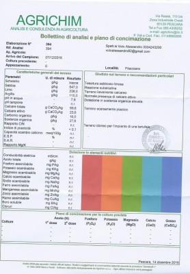 Terreno Filacciano.jpeg