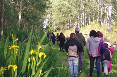 Riserva Naturale Padule di Fucecchio 01 (foto Alessio Bartolini).jpg