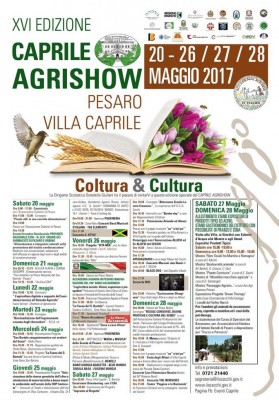 manifesto AGrishow.jpg