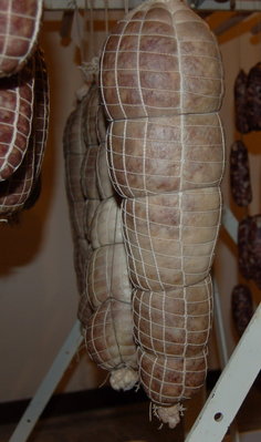 Orobico in Gentile di Scrofa Dic2010.jpg