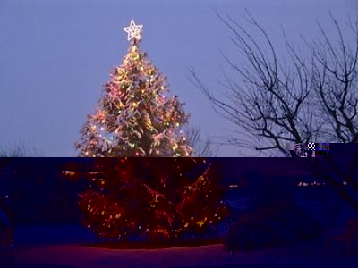 albero-natale.jpg