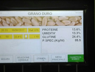 GRANO.jpg