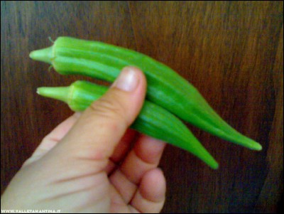 04072017okra.jpg