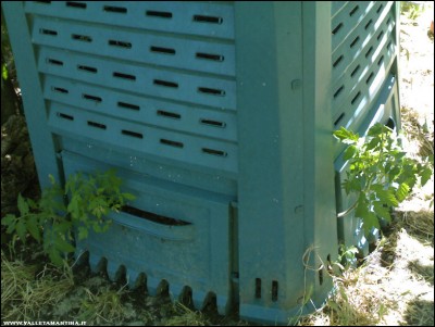 pomodori-composter.jpg