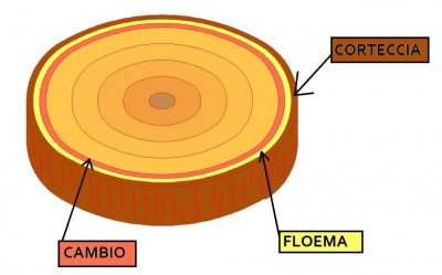 figura0193.jpg