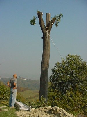 taglio albero 18.10.07.JPG