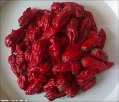 20092017pep-bhut-jolokia.jpg