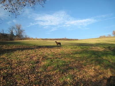 passeggiata.jpg