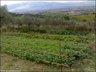 06102017recinzione.jpg