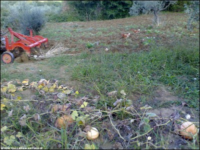 02102017preparazione-terra.jpg