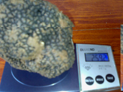 2° tartufo111.jpg