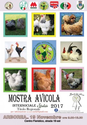 Mostra Avicola Arborea.jpg