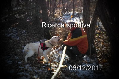 Ricerca sportiva.jpg