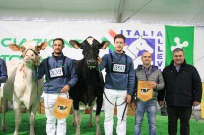 bovimac2017 premi mostra bovina.JPG