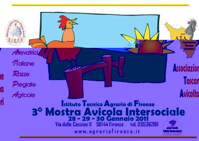 mostra-avicola-agrario.jpg