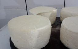 fontina2.jpg