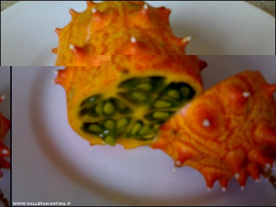 08102017kiwano.jpg