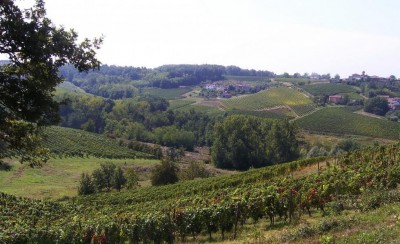 colline del cortese.JPG