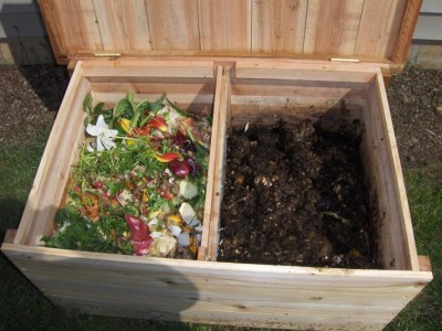 vermicompost1.jpg