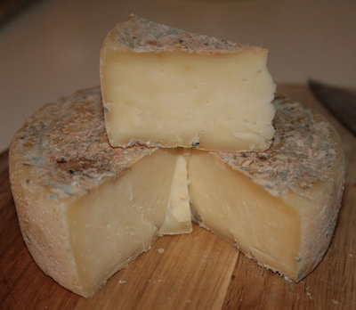 Taleggio_LZ_1.jpg