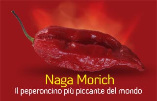 naga-morich[1].jpg