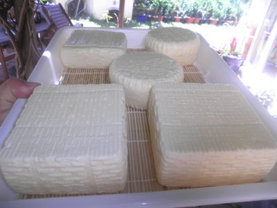 Quadrotti e brie.jpg