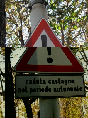 cartello-pericolo-caduta-castagne-2.jpg