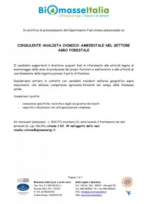 annuncio_consulente_fuel_Piombino_page-0001.jpg