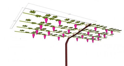 pergola_corta_3_01.jpg