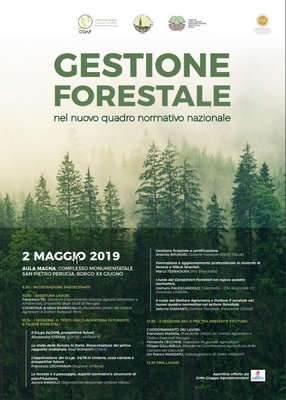 gestione-forestale.jpg