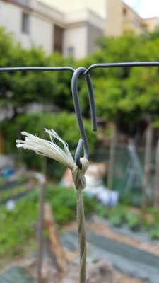 gancio per san marzano.jpg