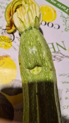 zucchine02.jpg